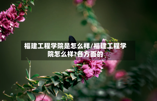 福建工程学院是怎么样/福建工程学院怎么样?各方面的-第2张图片