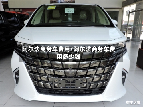 阿尔法商务车费用/阿尔法商务车费用多少钱