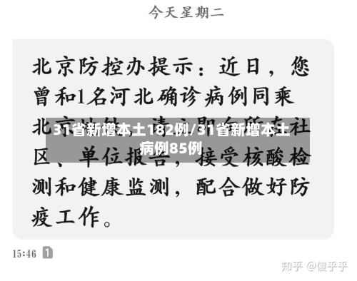 31省新增本土182例/31省新增本土病例85例