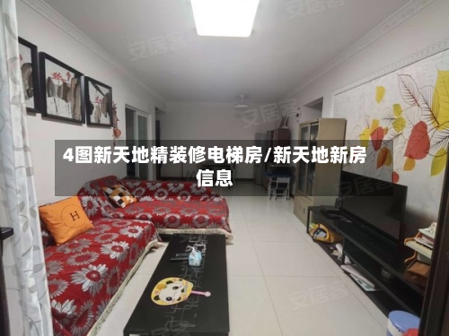 4图新天地精装修电梯房/新天地新房信息-第3张图片