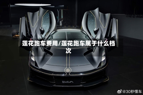 莲花跑车费用/莲花跑车属于什么档次-第3张图片