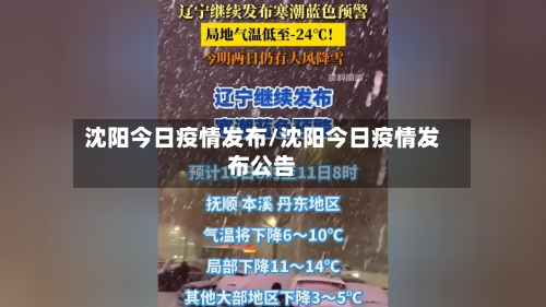 沈阳今日疫情发布/沈阳今日疫情发布公告-第3张图片