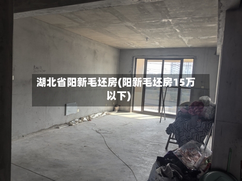 湖北省阳新毛坯房(阳新毛坯房15万以下)-第2张图片