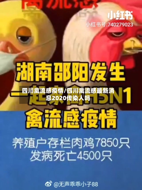 四川禽流感疫情/四川禽流感最新消息2020传染人吗