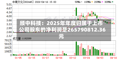 颀中科技：2025年年度归属于上市公司股东的净利润是265790812.36元