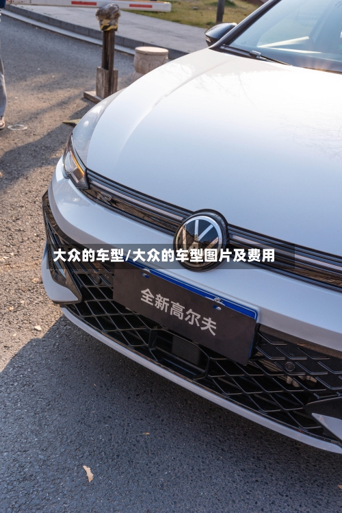 大众的车型/大众的车型图片及费用-第2张图片