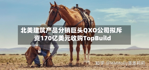 北美建筑产品分销巨头QXO公司拟斥资170亿美元收购TopBuild-第2张图片