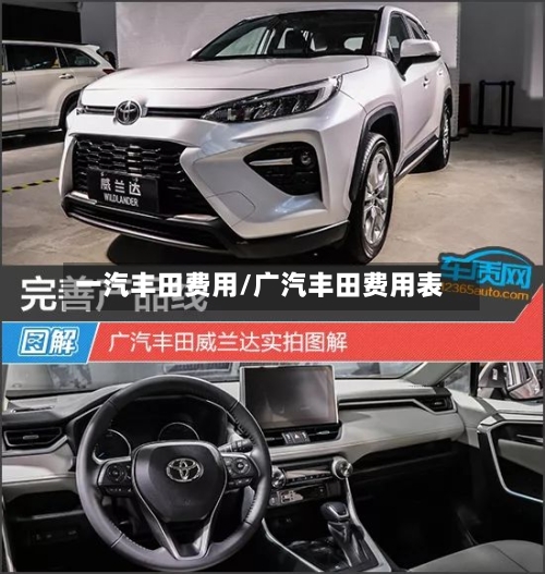 一汽丰田费用/广汽丰田费用表-第3张图片