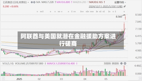 阿联酋与美国就潜在金融援助方案进行磋商