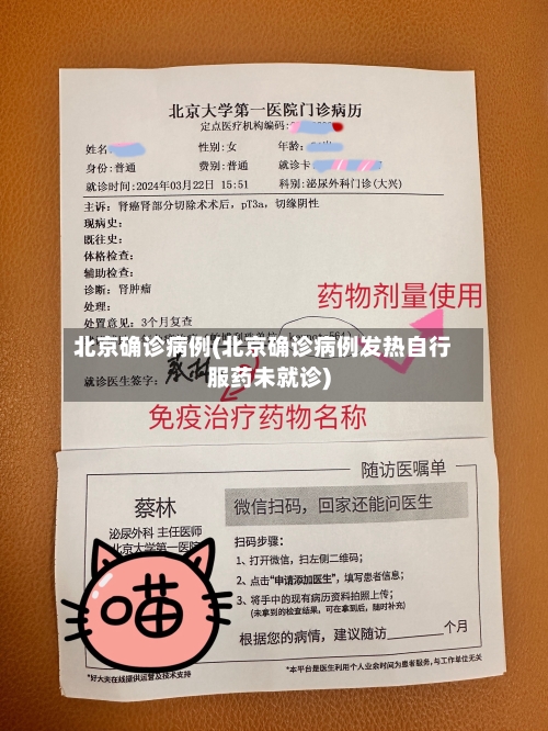 北京确诊病例(北京确诊病例发热自行服药未就诊)-第3张图片