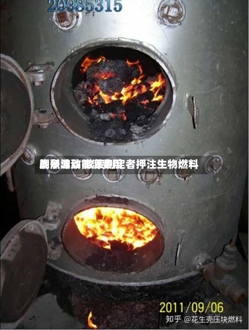 战争导致能源费用剧烈波动 政策制定者押注生物燃料