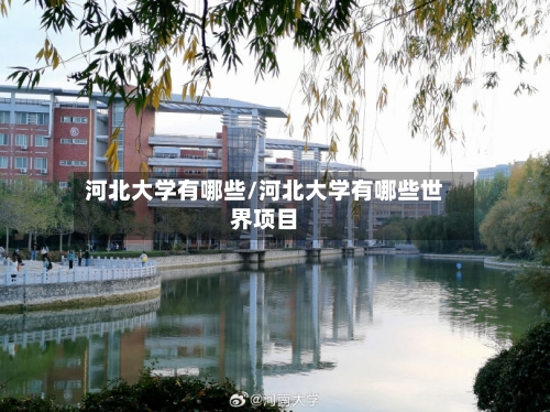 河北大学有哪些/河北大学有哪些世界项目