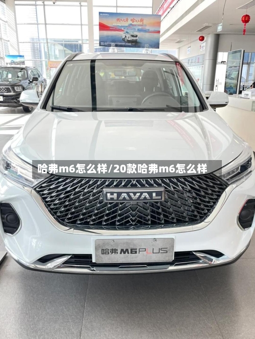 哈弗m6怎么样/20款哈弗m6怎么样-第2张图片