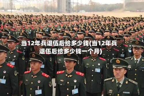 当12年兵退伍后给多少钱(当12年兵退伍后给多少钱一个月)-第2张图片