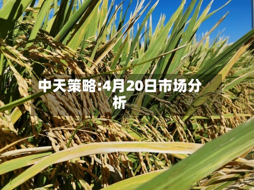 中天策略:4月20日市场分析