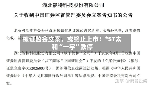 被证监会立案，或终止上市！*ST太和“一字”跌停-第2张图片