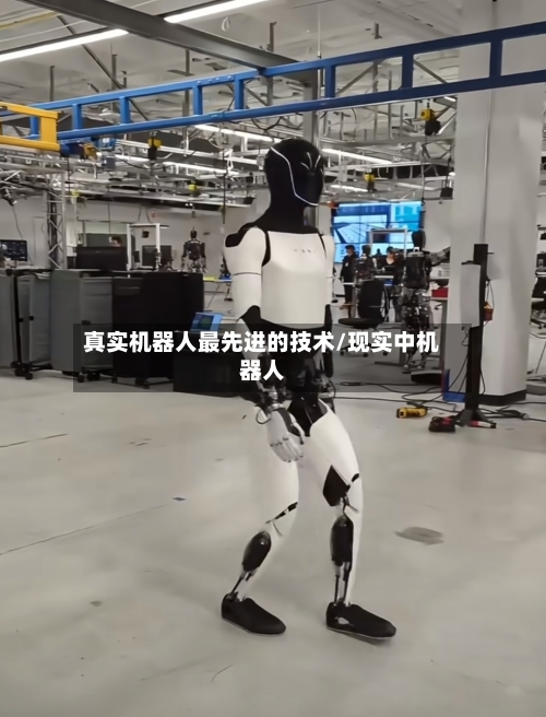 真实机器人最先进的技术/现实中机器人-第2张图片