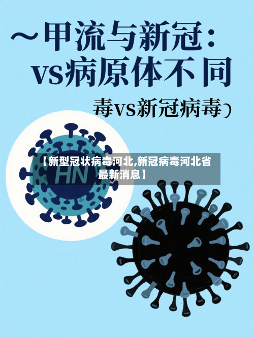 【新型冠状病毒河北,新冠病毒河北省最新消息】