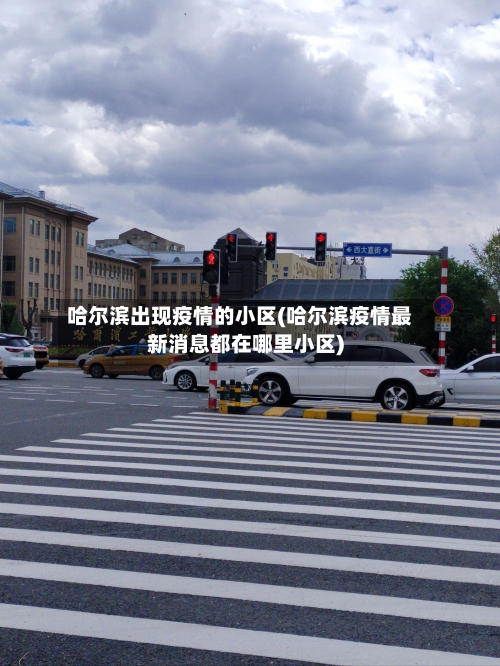 哈尔滨出现疫情的小区(哈尔滨疫情最新消息都在哪里小区)-第2张图片
