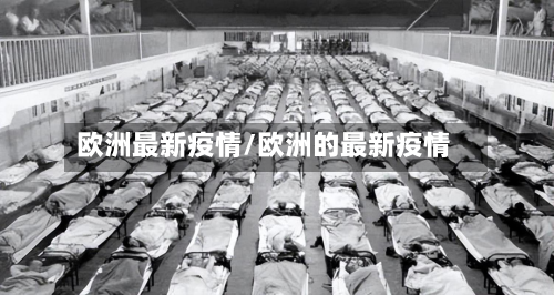 欧洲最新疫情/欧洲的最新疫情