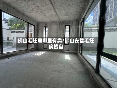 佛山毛坯房哪里有卖/佛山在售毛坯房楼盘