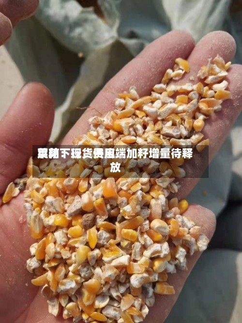 菜粕：现货费用震荡下行，供应端加籽增量待释放