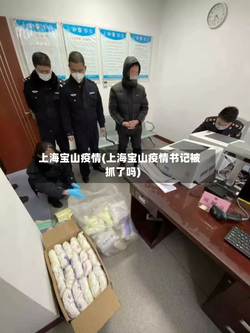 上海宝山疫情(上海宝山疫情书记被抓了吗)-第2张图片