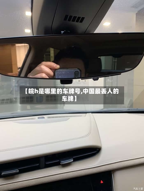 【皖h是哪里的车牌号,中国最丢人的车牌】-第3张图片