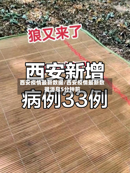 西安疫情最新数据/西安疫情最新数据消息5分钟前