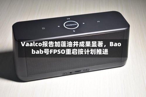 Vaalco报告加蓬油井成果显著，Baobab号FPSO重启按计划推进-第2张图片