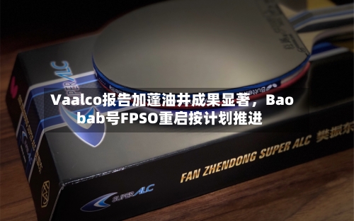 Vaalco报告加蓬油井成果显著，Baobab号FPSO重启按计划推进-第3张图片
