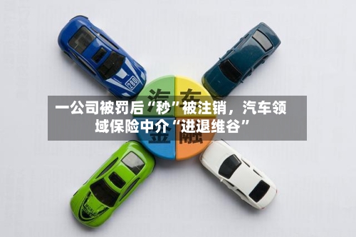 一公司被罚后“秒	”被注销	，汽车领域保险中介“进退维谷”-第2张图片