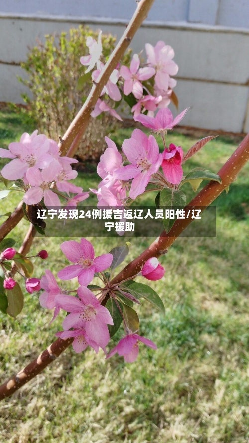 辽宁发现24例援吉返辽人员阳性/辽宁援助