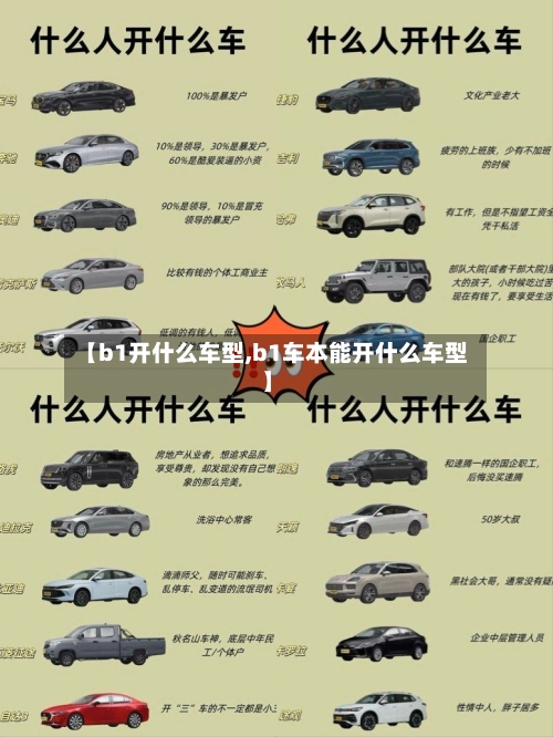 【b1开什么车型,b1车本能开什么车型】