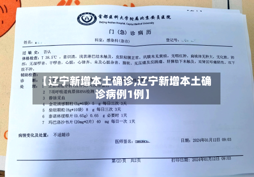 【辽宁新增本土确诊,辽宁新增本土确诊病例1例】-第3张图片