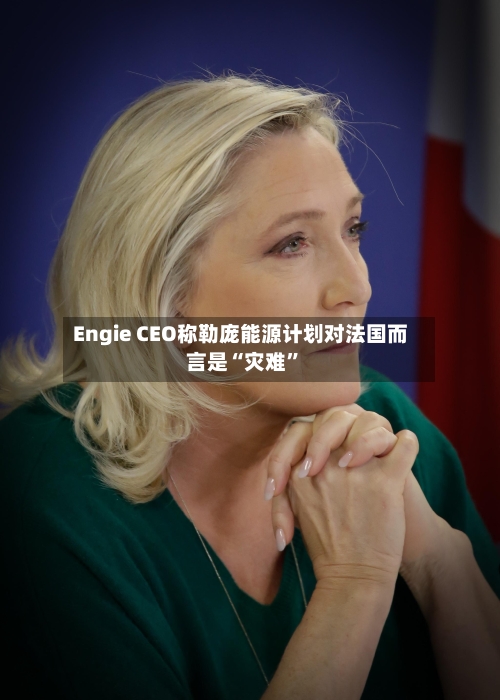 Engie CEO称勒庞能源计划对法国而言是“灾难”-第3张图片