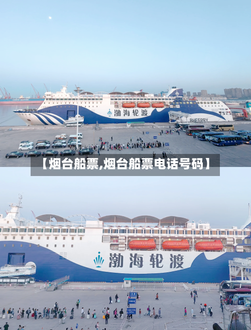 【烟台船票,烟台船票电话号码】-第2张图片