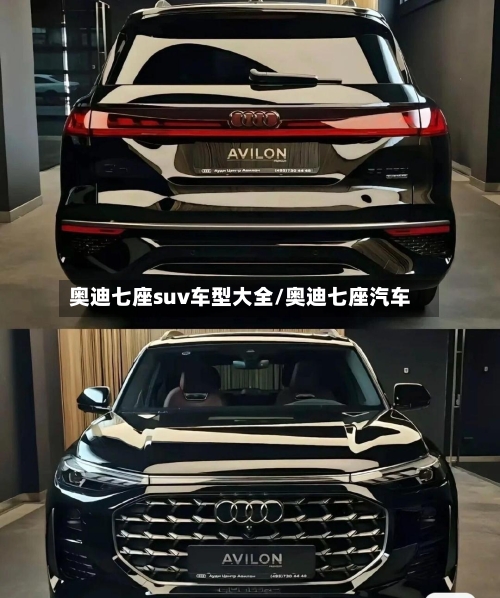 奥迪七座suv车型大全/奥迪七座汽车-第2张图片