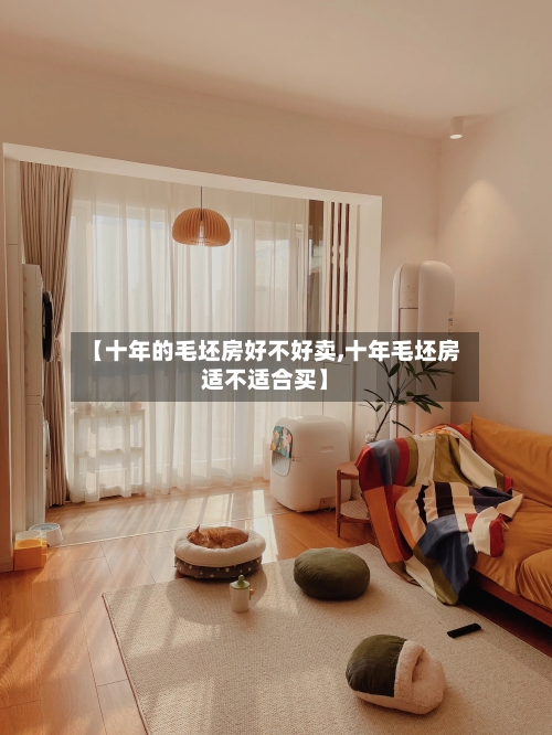 【十年的毛坯房好不好卖,十年毛坯房适不适合买】-第3张图片