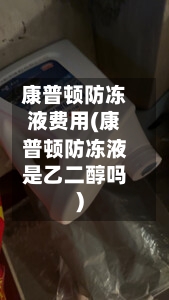 康普顿防冻液费用(康普顿防冻液是乙二醇吗)-第2张图片