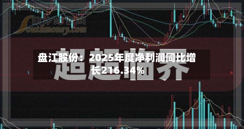盘江股份：2025年度净利润同比增长216.34%