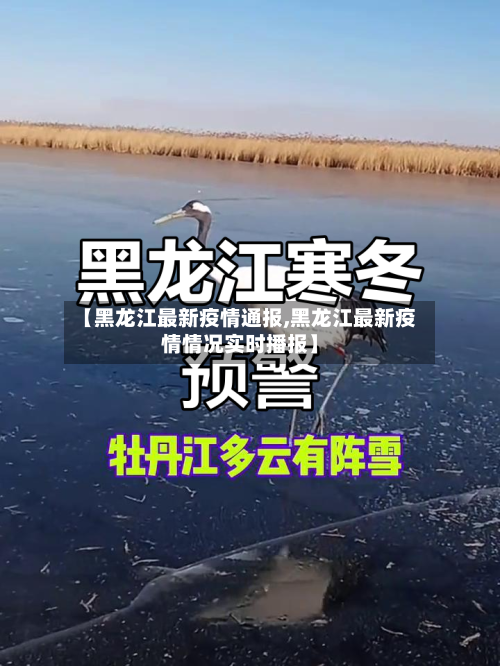 【黑龙江最新疫情通报,黑龙江最新疫情情况实时播报】