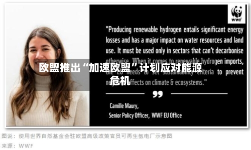 欧盟推出“加速欧盟	”计划应对能源危机-第3张图片