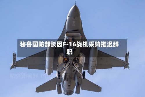 秘鲁国防部长因F-16战机采购推迟辞职