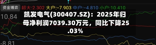 凯发电气(300407.SZ)：2025年归母净利润7039.30万元，同比下降25.03%