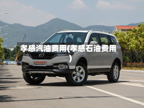 孝感汽油费用(孝感石油费用)-第3张图片