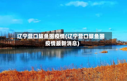 辽宁营口鲅鱼圈疫情(辽宁营口鲅鱼圈疫情最新消息)-第3张图片