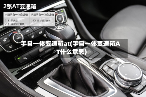 手自一体变速箱at(手自一体变速箱AT什么意思)