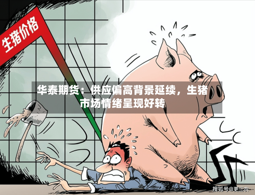 华泰期货：供应偏高背景延续，生猪市场情绪呈现好转-第2张图片