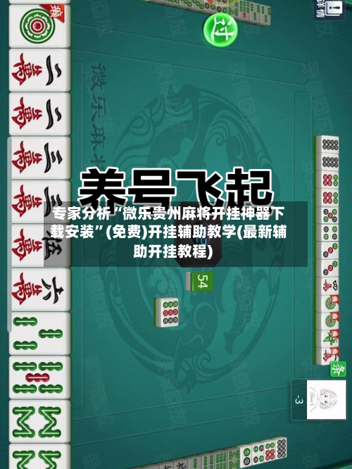 专家分析“微乐贵州麻将开挂神器下载安装”(免费)开挂辅助教学(最新辅助开挂教程)-第2张图片